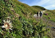 17 Salendo su stradetta gippabile dalla Casera Foppa (1750 m) alle Baite della croce (1812 m)